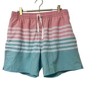 Chubbies The On The Horizons 5.5" Swimmers Shorts Size L Stripe Lined Vacation‎
